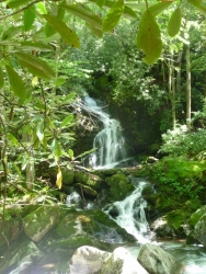 Mouse Creek Falls